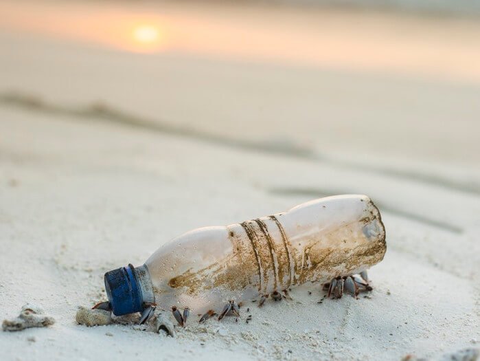 Eine Plastikflasche am Strand: Plastikflaschen bietet Material für vegane Daunenjacken