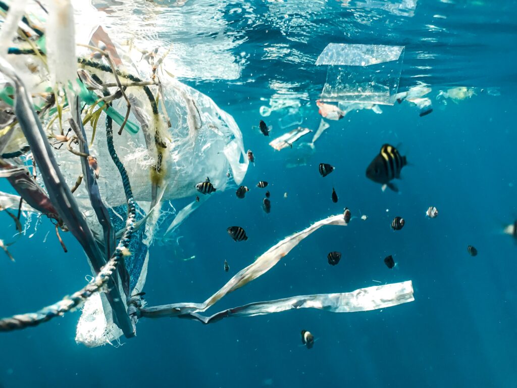 Ein nachhaltiges Leben kann Einfluss darauf haben, wie viel Plastik im Meer umherschwimmt