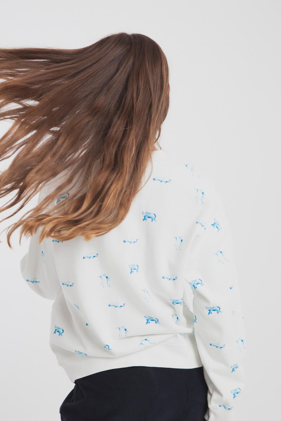Sweater Antartic Animals Weiss from LOVECO Sweater Antartic Animals Weiss from LOVECO