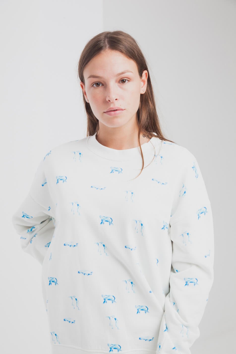 Sweater Antartic Animals Weiss from LOVECO Sweater Antartic Animals Weiss from LOVECO